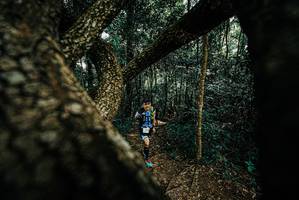 BIB: 
                            <button type="button" onclick="openModal(25666742)" class="btn btn-primary btn-sm float-right btn-popup" data-toggle="modal" data-target=".modal-high-quality">
                        <i class="fas fa-shopping-cart"></i> Add to Cart
                    </button>
                                            <button type="button" onclick="isThisMe(25666742, true)" class="btn btn-success btn-sm float-right btn-popup btn-isme hidden" data-toggle="tooltip" data-placement="bottom" title="นี่คือรูปของคุณใช่ไหม คลิกที่นี่เพื่อเอาเข้าอัลบั้ม">
                        <i class="fas fa-plus"></i> Add to album
                    </button>
                    <button type="button" onclick="isThisMe(25666742, false)" class="btn btn-warning btn-sm float-right btn-popup btn-isnotme hidden">
                        <i class="fas fa-ban"></i> Remove from album
                    </button>